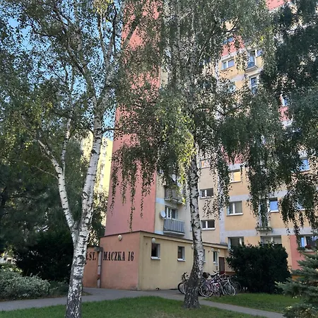 公寓 Maczka 16 - W Otoczeniu Zieleni, Blisko Centrum 波兹南